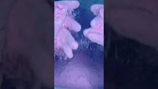 Asmr Dusty Pink Gym Chalk Crush So Yummy