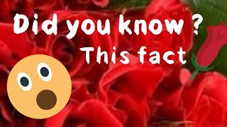Did you know 🙄, What is Scientific name of Rose 🌹 flower?