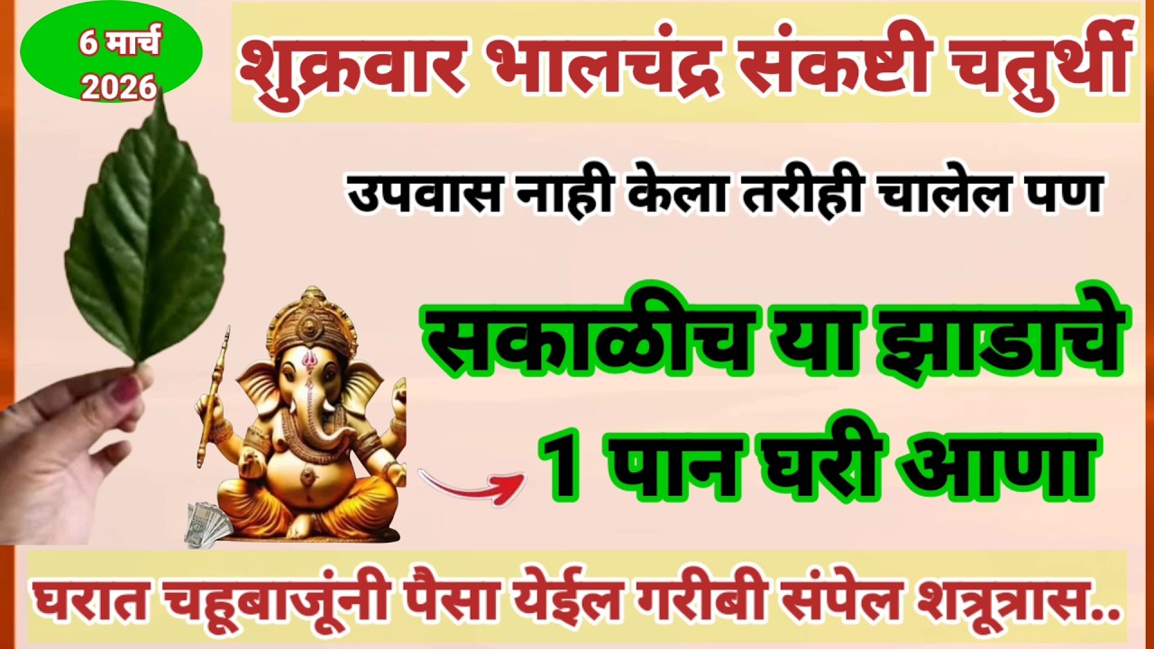 शुक्रवार संकष्टी चतुर्थीच्या दिवशी सकाळीच या झाडाचे एक पान घरी आणा घरात चहुबाजूने पैसा येईल