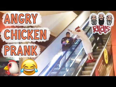jalals'-angry-chicken-prank!
