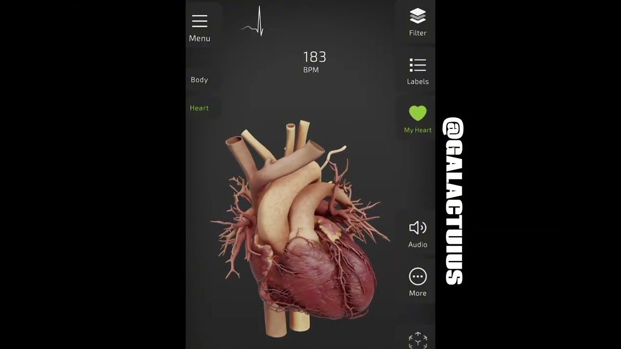 Woman’s Exercising Heart on Insight