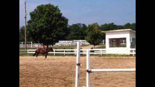 Cantering bareback with no reins