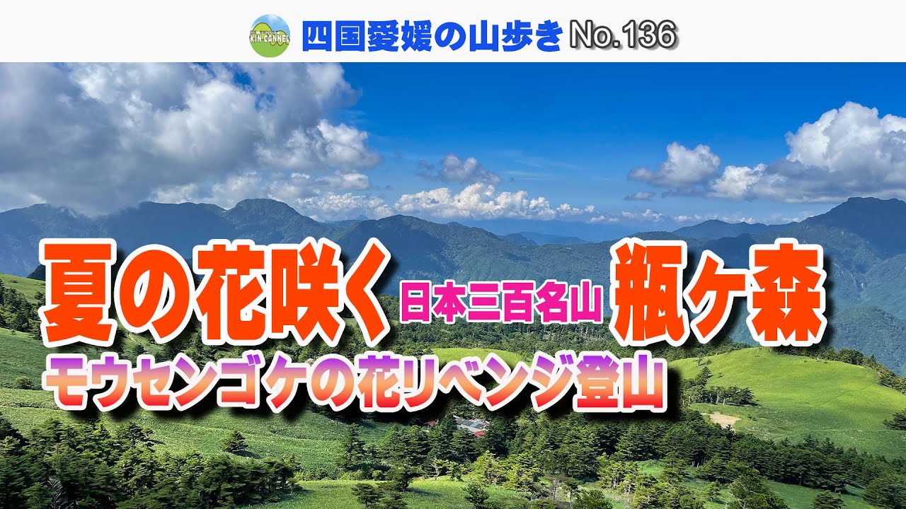 【日本三百名山】夏の花咲く瓶ヶ森へ｜モウセンゴケの花リベンジ登山  2025.8.17