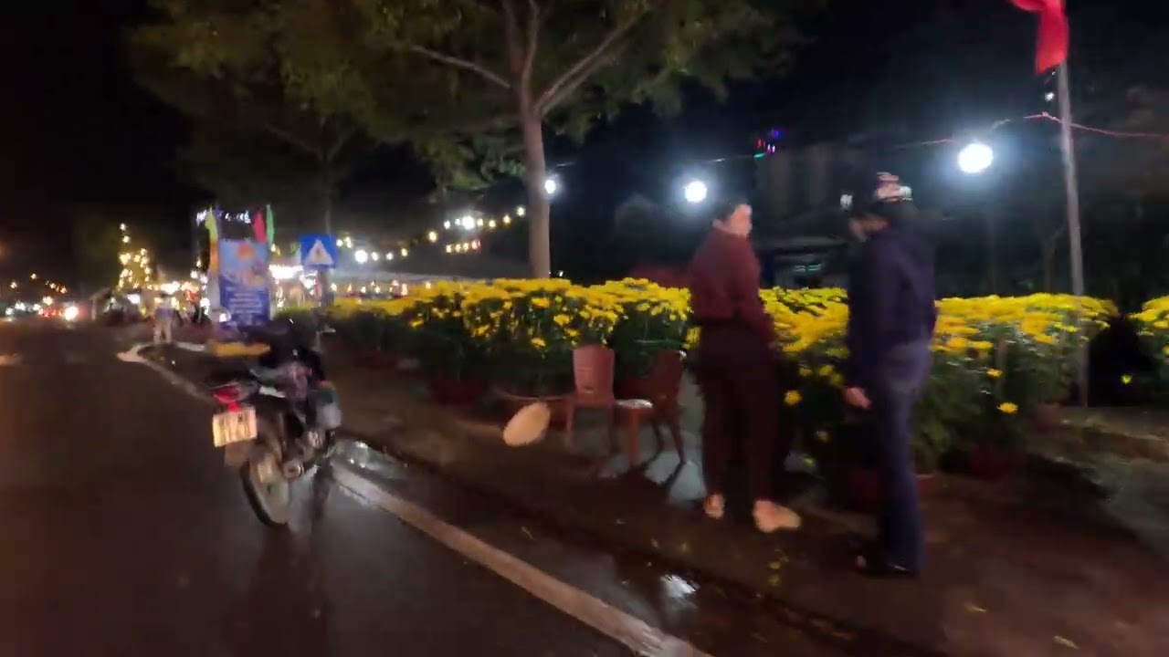 Hoa xuân Bính Ngọ 02-2026 017519