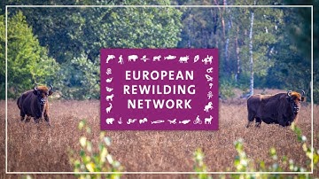 The European Rewilding Network | Bringing together rewilding initiatives from all over Europe