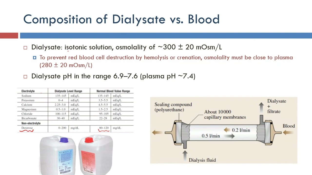 Hemodialysis (Part 2) - Biomedical Instrumentation Course Recordings - Fall 2021