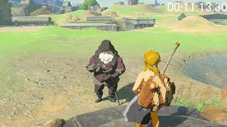 ゼルダの伝説　BOTW RTA 【ALL SHRINE】【Bug　limit】 (全祠、バグ制限RTA)　9:40:19