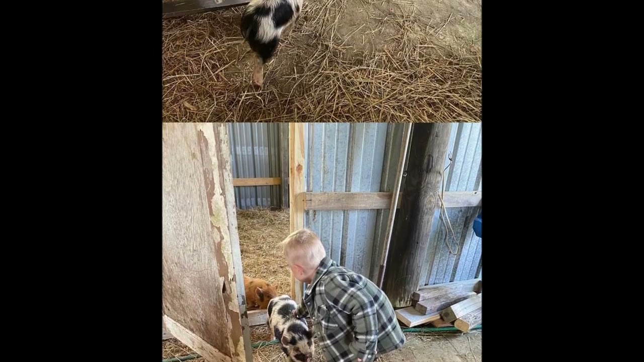 Visitor at Hartley Farms