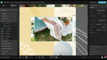 How to use Canvas Views on your Showit Website