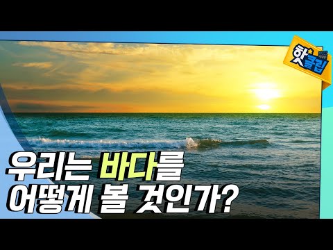 [핫클립] 우리의 시각으로 보는 바다 / YTN 사이언스