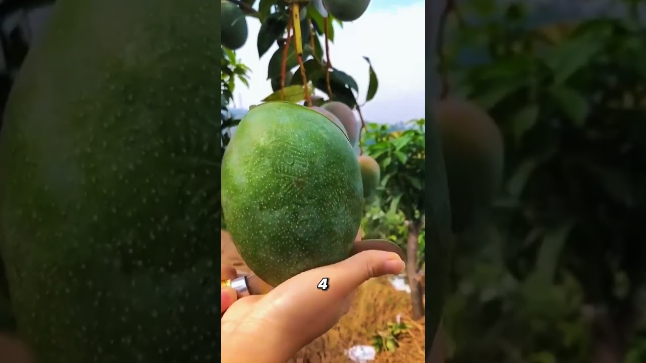 Большинство людей не знают этих фактов о фруктах.