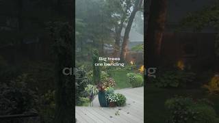 #ohio #storm #wind #thunderstorm #rainfall #columbus #weather #nature #tree #landscaping