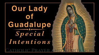Prayer to Our Lady of Guadalupe for Special Intentions