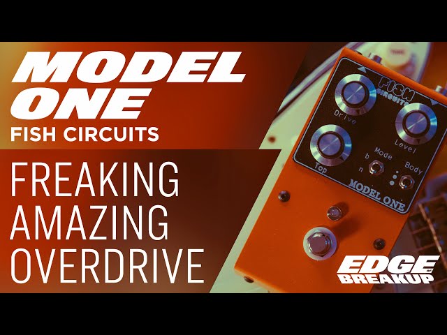 Fish Circuits Model One - YouTube