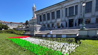 Live from UC Berkeley Rally Solidarity with Gaza