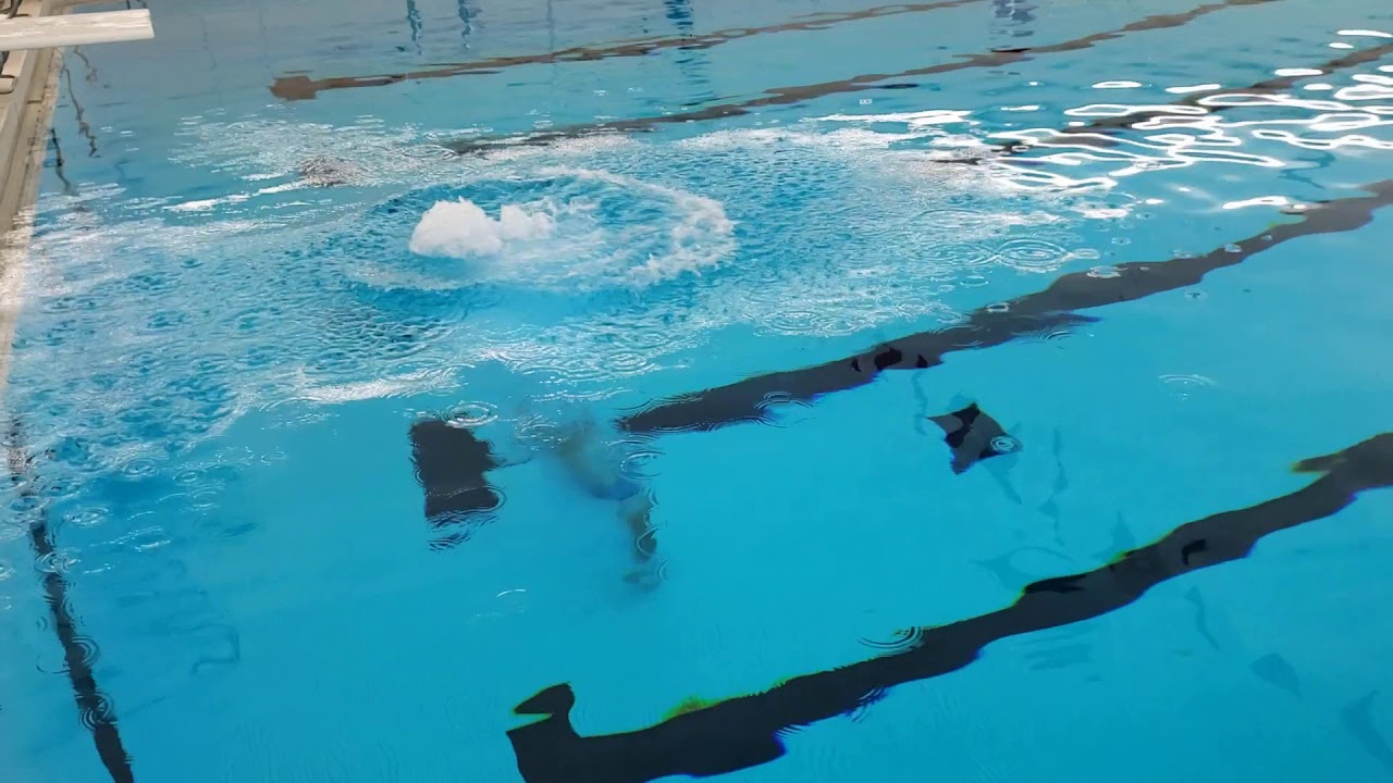 Lamar Aquatics One Part Take Off from the Diving Board YouTube