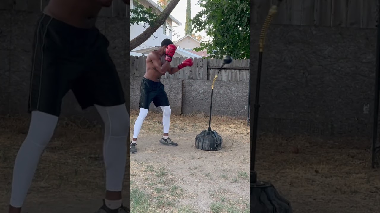 Everyday Boxing Training 