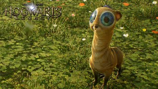 Hogwarts Legacy | Mooncalf | Fantastic Beasts And Where To Find Them