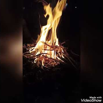 scorpions always somewhere status for WhatsApp ❤️❤️