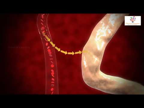 Video: Skillnaden Mellan Tubular Reabsorption Och Tubular Secretion