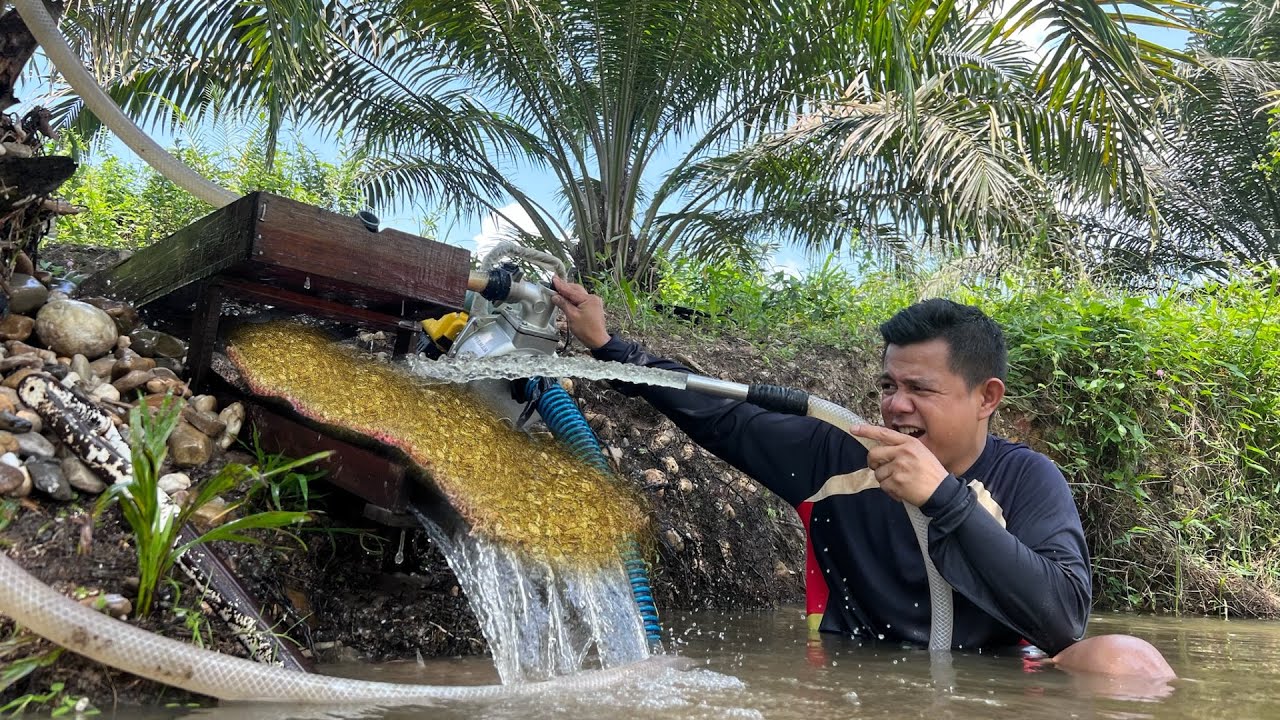 VIRAL,! TAMBANG EMAS TRADISIONAL DI INDONESIA,TAMBANG EMAS TERBESAR DI DUNIA,HARTA KARUN DALAM TANAH