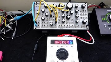 Pittsburgh Modular Lifeforms & Eventide H9 (Undulator)