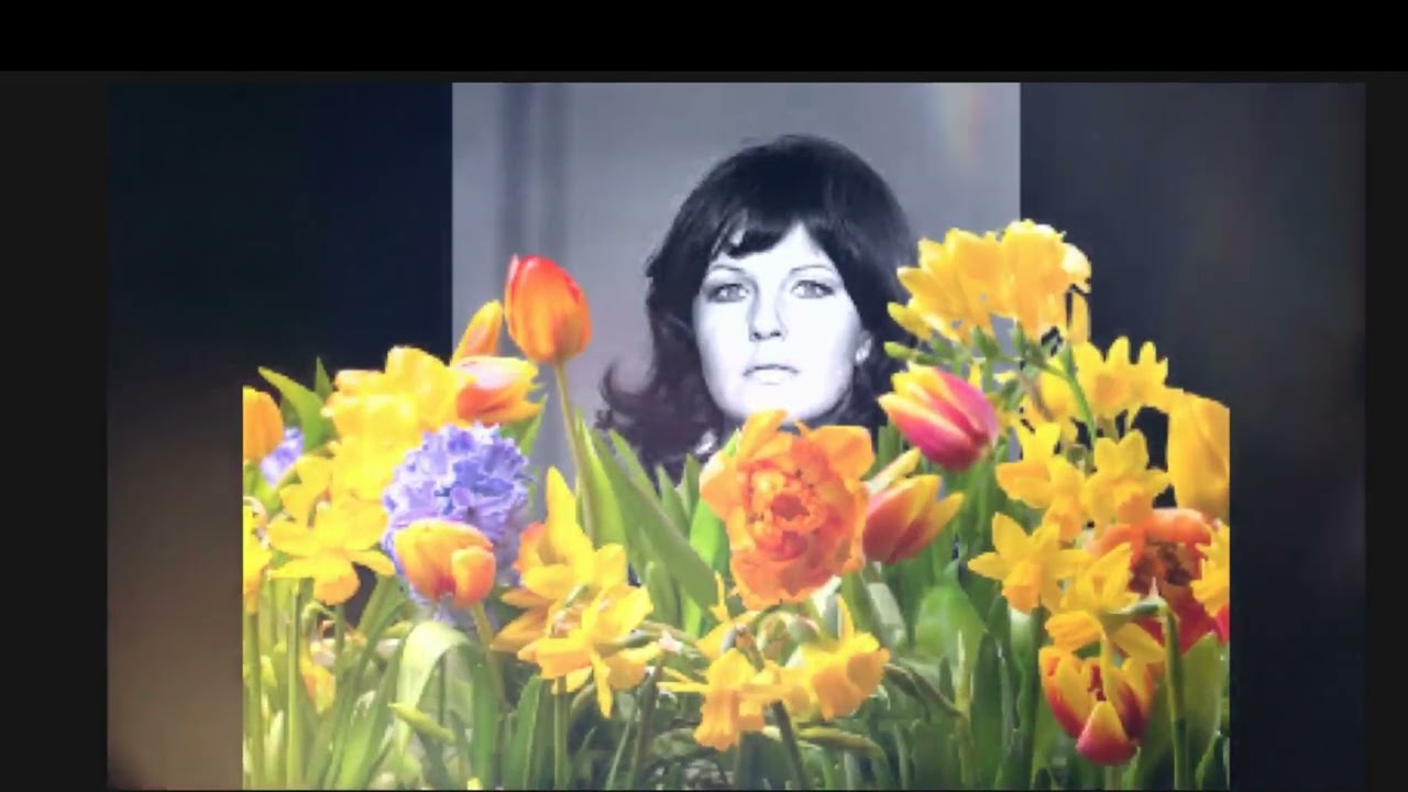 Dana Lerska i Tajfuny - Mój ulubiony kwiat  (1965)