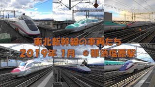 【4K】東北新幹線を走行する車両たち＠那須塩原駅　The video of Shinkansen(Japanese bullet train)