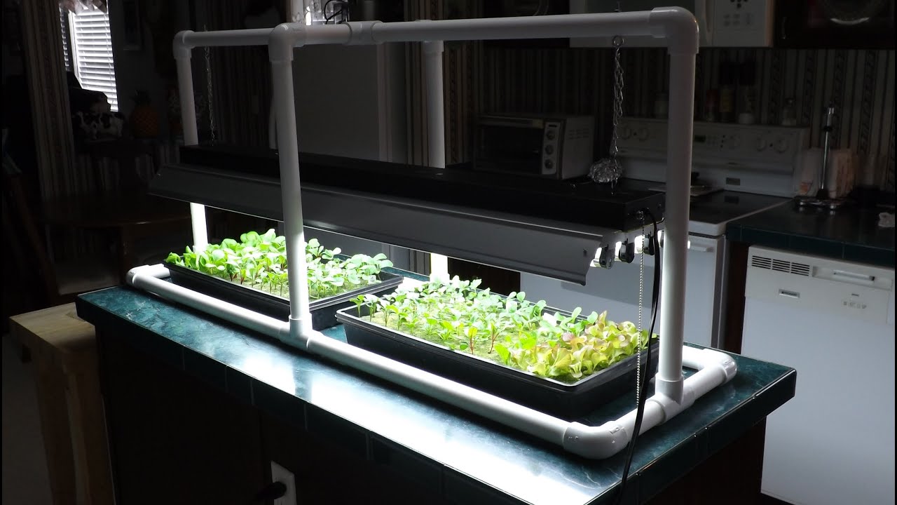 Hydroponic Seed Starting & Simple PVC Grow Light Stand