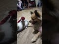 Rosie's 1st day