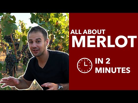 Video: Merlot grapes: aplikasyon, mga pakinabang, mga katangian ng iba't