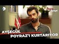 Ayşegül, Poyraz'ı Kurtarıyor - Poyraz Karayel 1. Bölüm