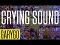 GARYGO - CRYING SOUND ( Official Lyric Video )