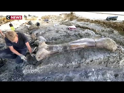 Vidéo: Le Plus Gros Os De Dinosaure De L'histoire A été Découvert En France - Vue Alternative