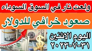 سعر الدولار اليوم في مصر/سعر الدولار والعملات الاجنبية في السوق السوداء الاثنين ٣١-٧-٢٠٢٣