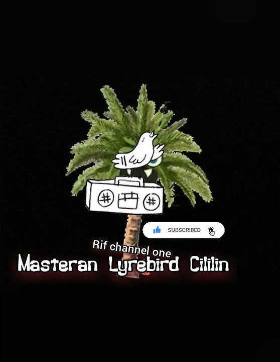 Masteran Lyrebird Cililin