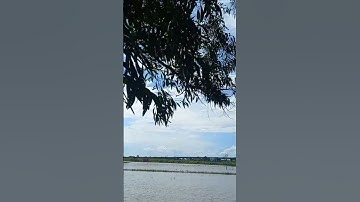 Chúc cả nhà có ngày nghỉ cuối tuần nhiều niềm vui, sức khỏe, hạnh phúc.