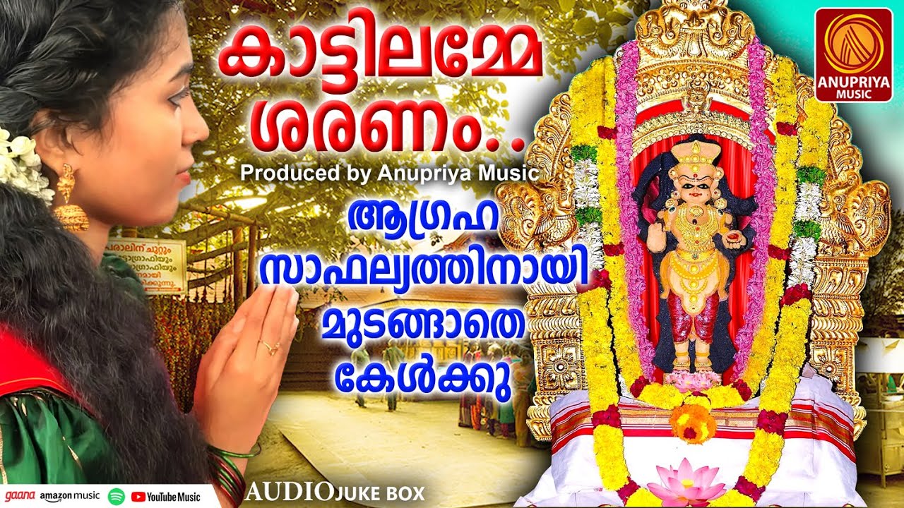 കാട്ടിൽ മേക്കതിൽ അമ്മയുടെ ഇഷ്ട ഗാനം | Kattil Mekkathil Amma Devotional Song Malayalam