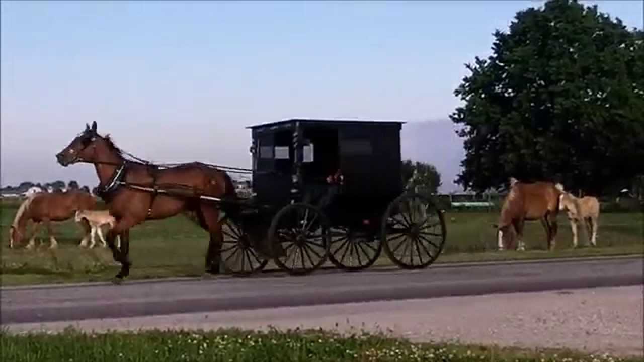 Amish Transportation in Arthur Illinois YouTube