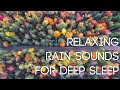 Gentle rain sounds for sleeping. Rain in the autumn forest. Relaxing sounds of rain