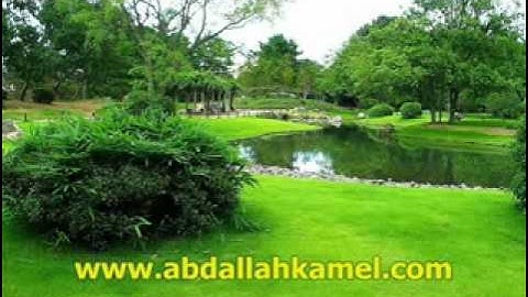 قراءة خاشعة جداا من سورة فاطر للشيخ عبدالله كامل.flv