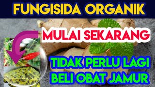 Pertanian - *Membuat Fungisida Organik // Obat Jamur Tanaman