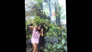 chit kwint ya chin p