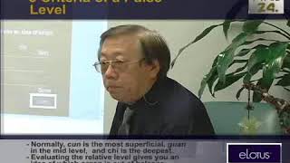 5 Criteria Level of Pulses by Jimmy Chang (Pulsynergy Part I)