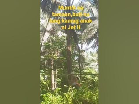 muntik na! - YouTube