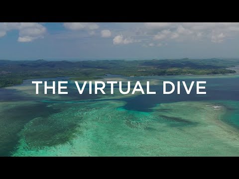 Wideo: Wirtualne podwodne nurkowania Google dają wspaniałe widoki na rafy koralowe