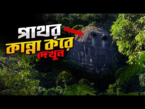 ভিডিও: রুশ দুর্ভিক্ষের বিরুদ্ধে আমেরিকান সাহায্য প্রশাসন এবং এর লড়াই