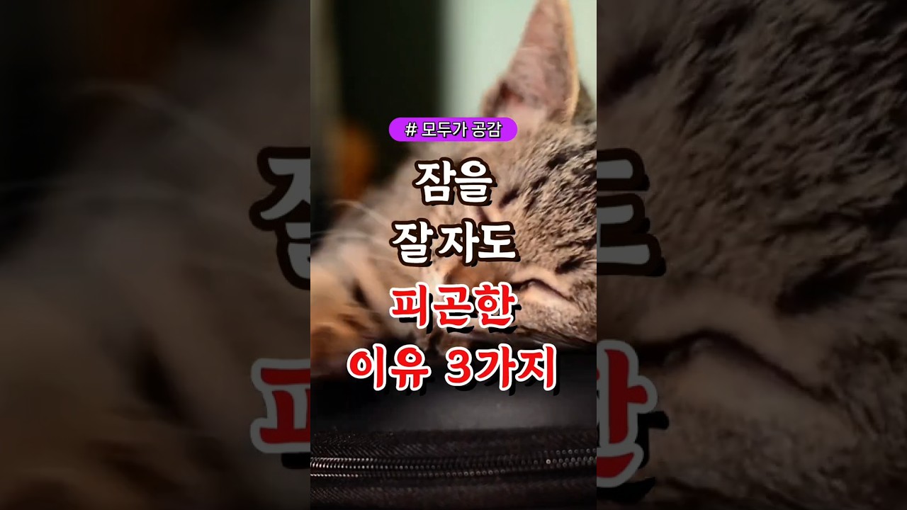 잠을 잘 자도 피곤한 이유 3가지 #건강#건강팁#건강식#건강식단#건강음식