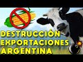 DESTRUCCIÓN EXPORTACIONES ARGENTINA: CRISIS ECONÓMICA SE ACELERA | ECONOMÍA Y CAMPO EN RIESGO