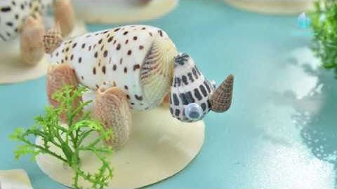CHÚ TÊ GIÁC VỎ SÒ ỐC BIỂN - MỸ NGHỆ ỐC BIỂN
